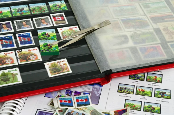 Mennyibe kerül egy bélyeggyűjtés elkezdése?